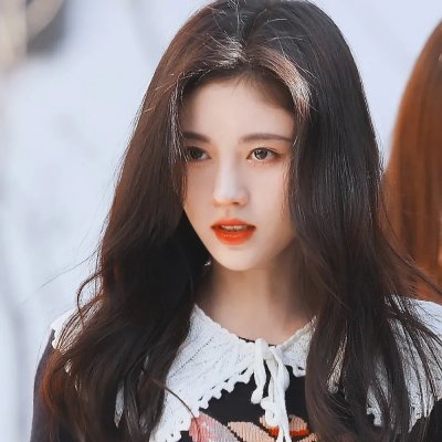 山菊